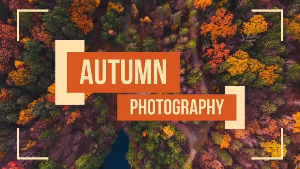 Fall Family Photography Ideas